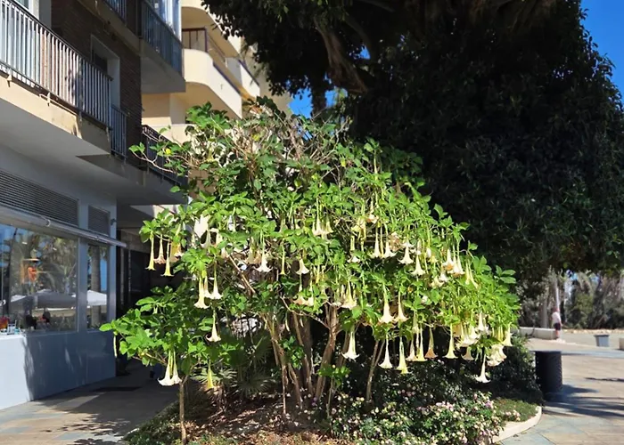 Sea View Penthouse With Hot Tub - Casa Bella Vista, Buenas Noches , *