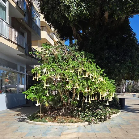 Sea View Penthouse With Hot Tub - Casa Bella Vista, Buenas Noches , *